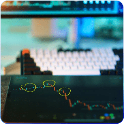 市場展開と成長戦略